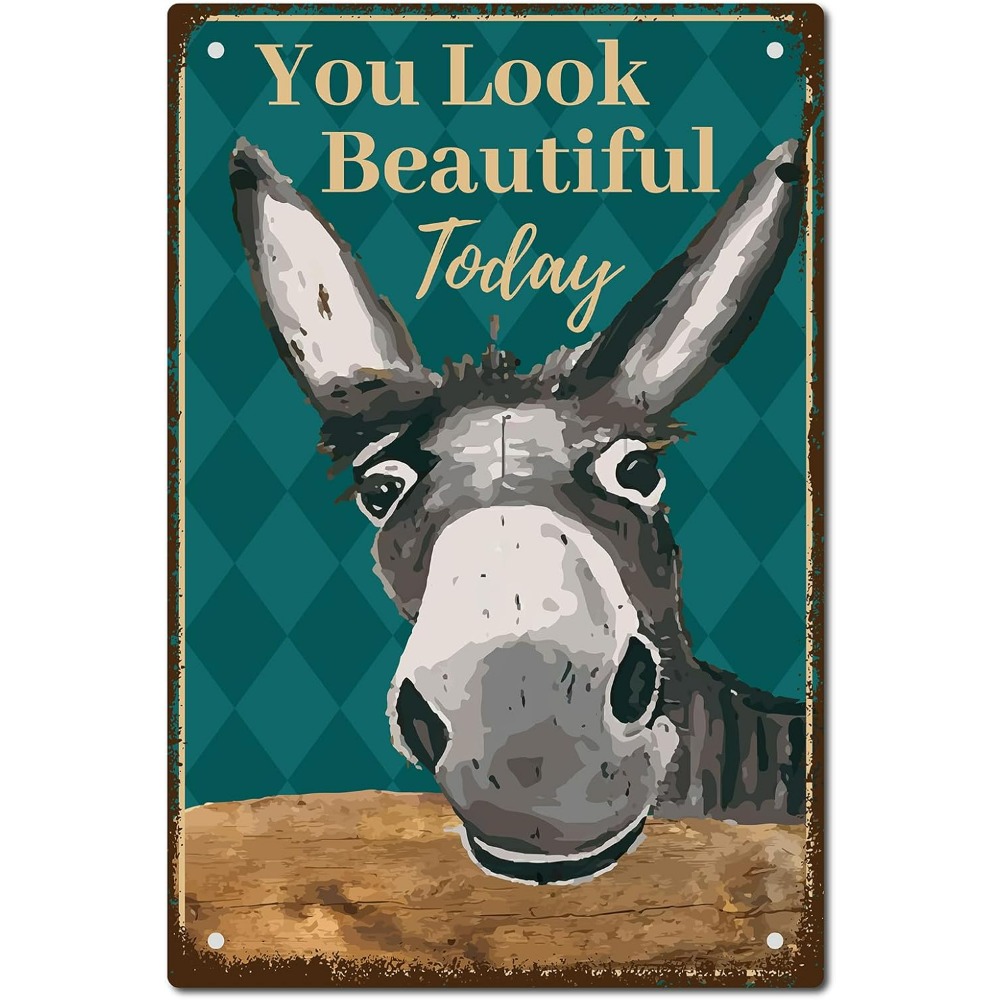 Donkey Vintage Tin Signs You L - Men Accessories Look recension och pris