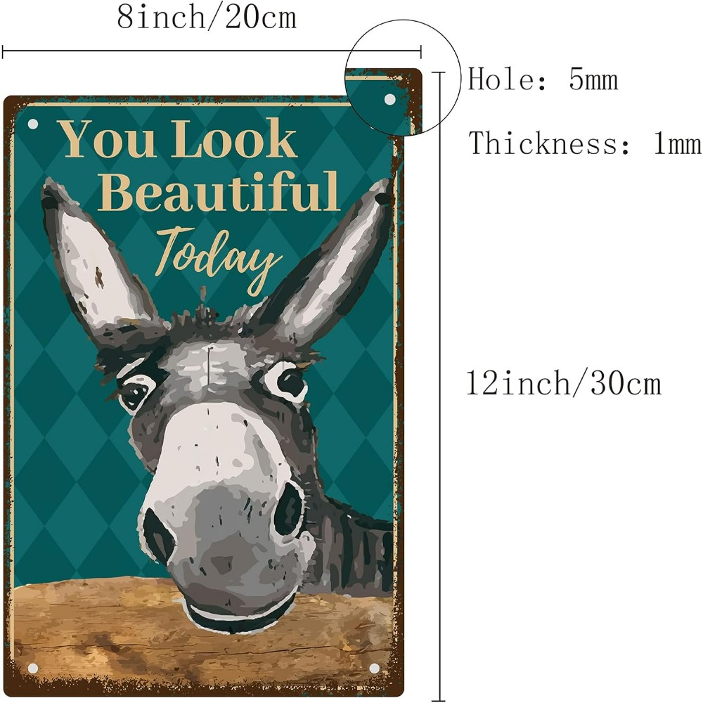 Donkey Vintage Tin Signs You L - Men Accessories Look recension och pris